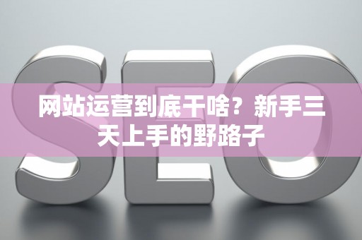 网站运营到底干啥？新手三天上手的野路子